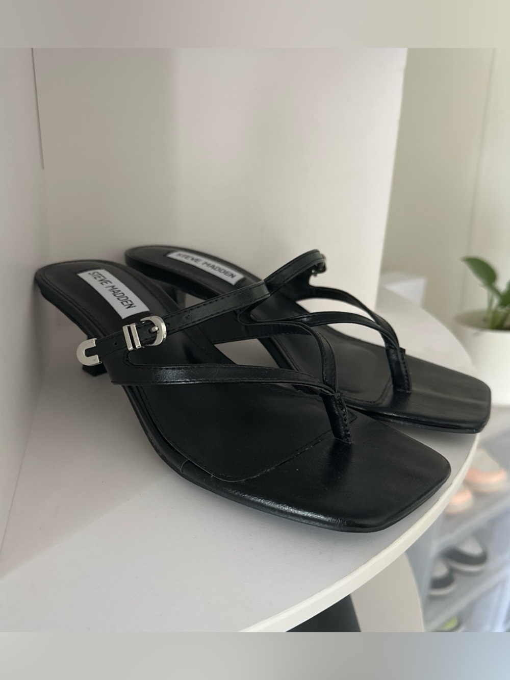 Steve Madden Kitten Heels